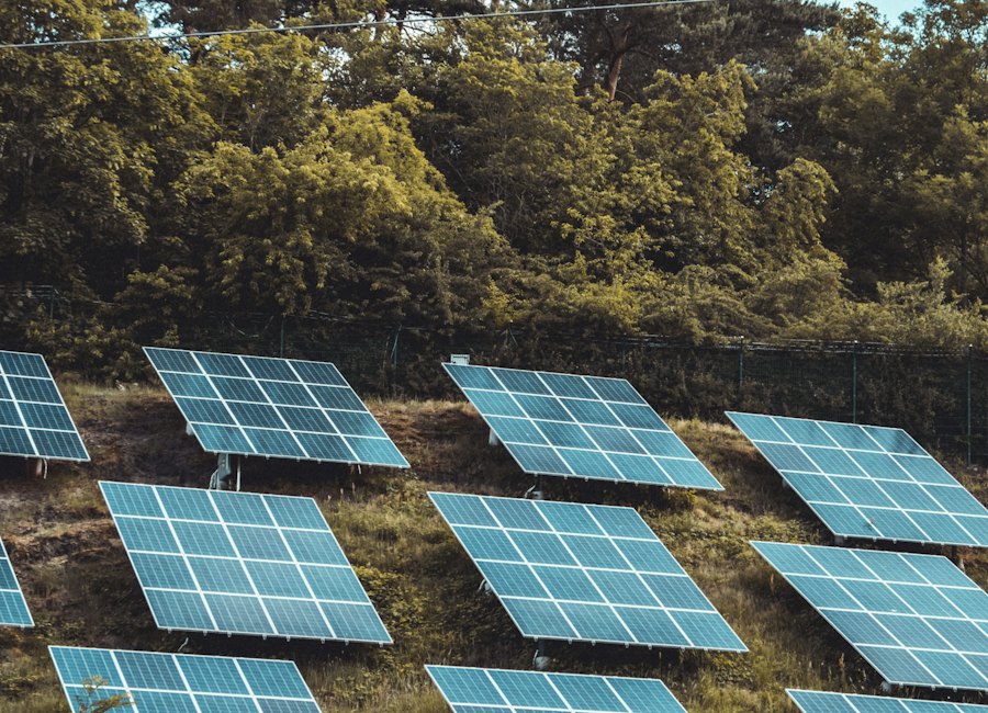 Solar panels in a rural setting